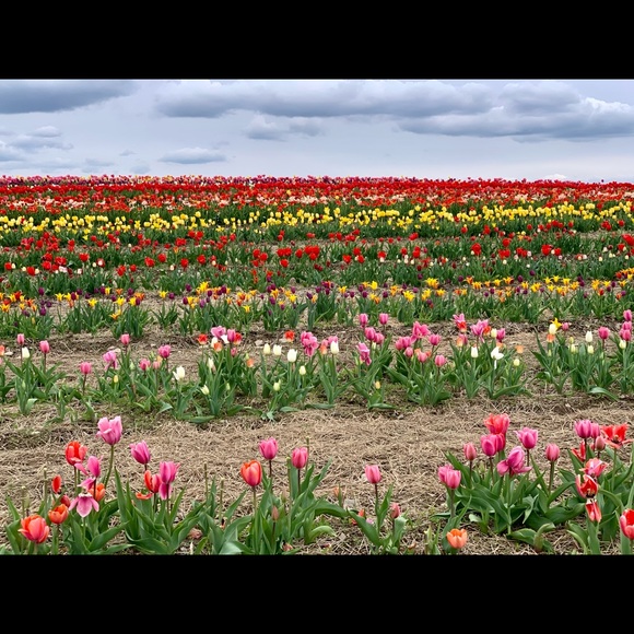 Meet your Posher, Isadora - Picture 14 of 15